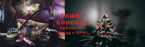 ALPHA PVP Ельня