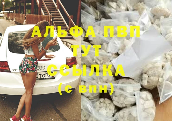 сатива Козельск