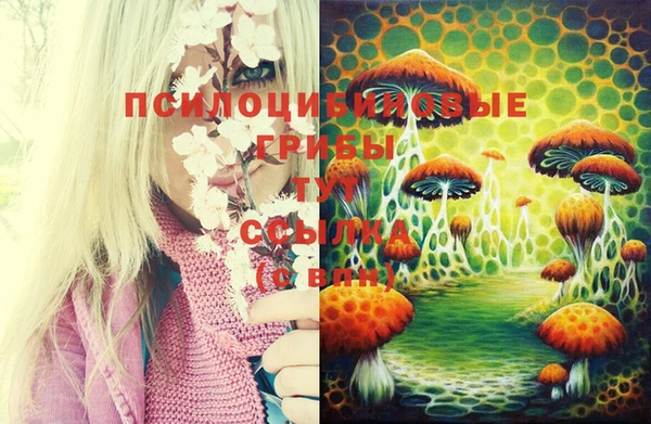 mdpv Елизово