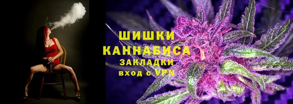 сатива Козельск