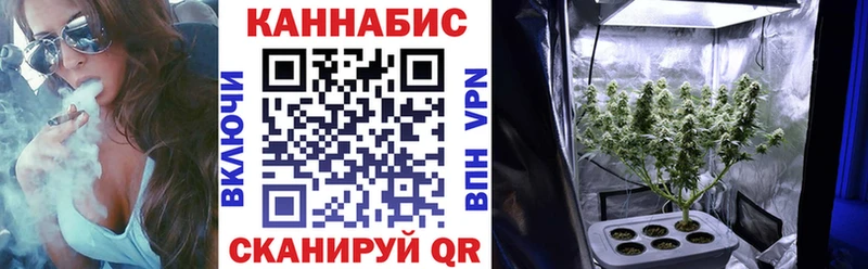 Бошки Шишки конопля  дарк нет состав  Котово  купить наркоту 